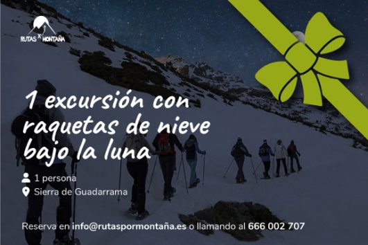 Raquetas de nieve bajo la Luna - 1 persona